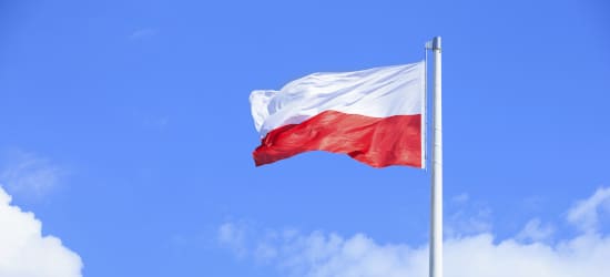 Wann müssen Sie auf Ihrer Website auch eine Datenschutzerklärung auf Polnisch zur Verfügung stellen?