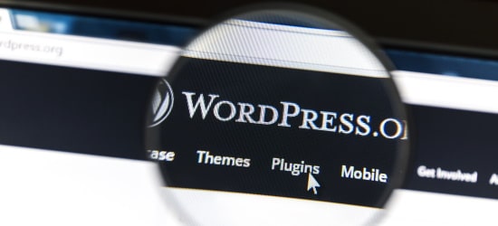 Ist Ihre WordPress-Seite DSGVO-konform? Ein Cookie-Plugin ist ein wichtiges Tool zur Einhaltung von Datenschutzvorschriften.